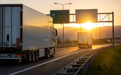 Winter Newsletter: What’s in store for this year